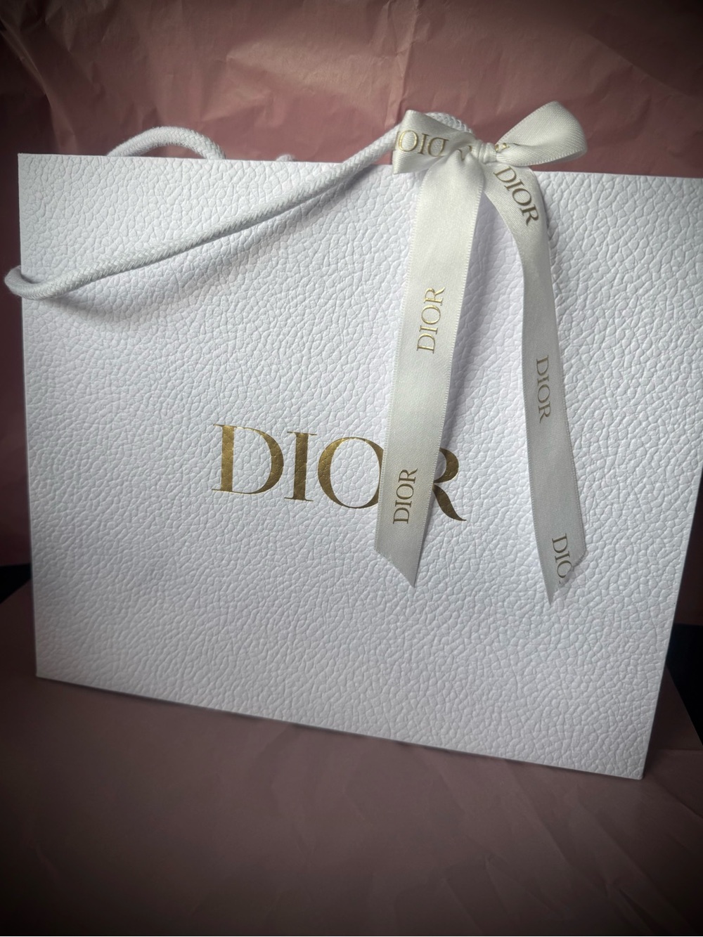 Dior Gift Bag with Ribbon